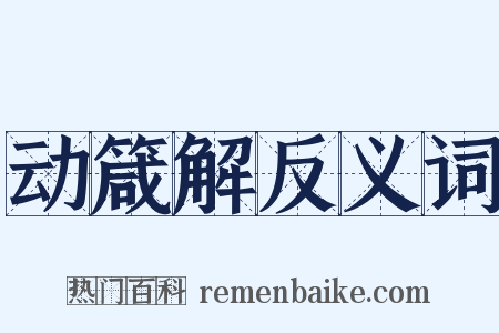 动箴解反义词是什么意思的图片